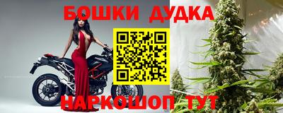 индика Кунгур