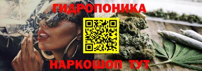 индика Кунгур