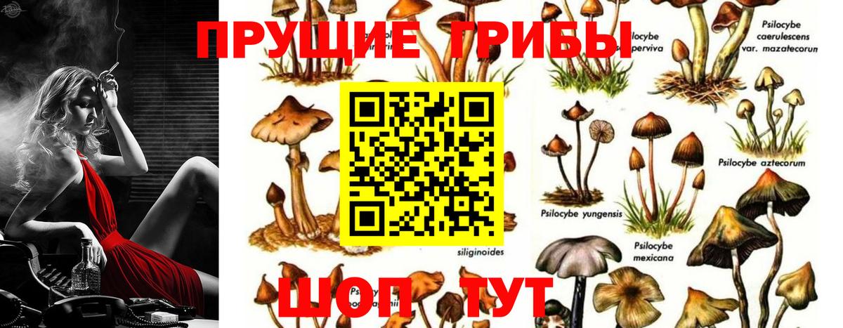 Галлюциногенные грибы ЛСД  Вход с VPN  Керчь  Псилоцибиновые грибы ЛСД 