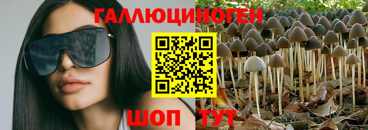 Псилоцибиновые грибы GOLDEN TEACHER Керчь